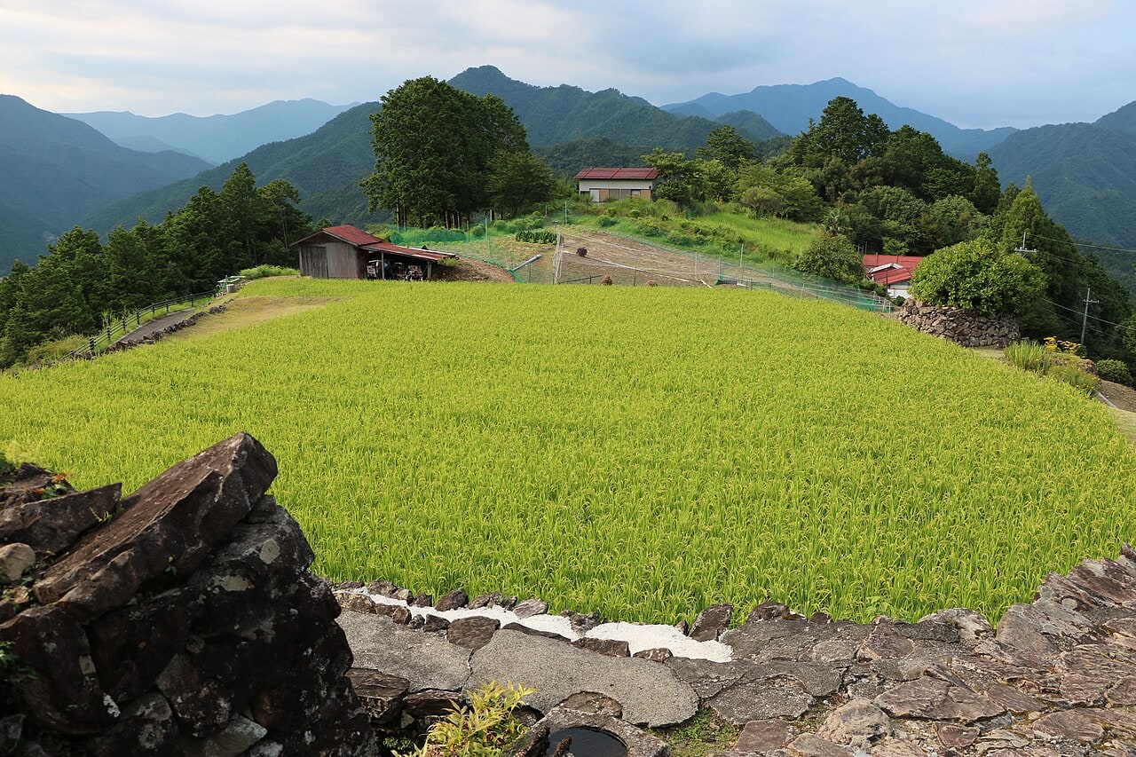 Rice terraces in Hatenashi village A.jpg