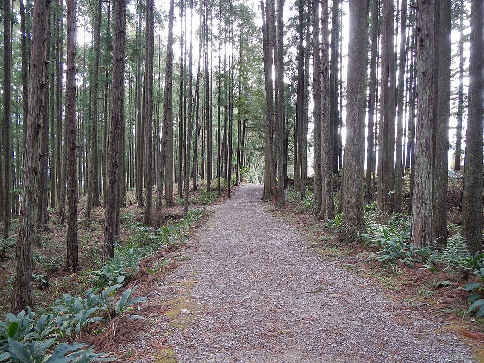 Kumano Kodo pilgrimage route Nakahechi From Hosshinmon-Oji To KumanoHongu-Taisha World heritage 熊野古道 中辺路 発心門王子～熊野本宮大社164.JPG