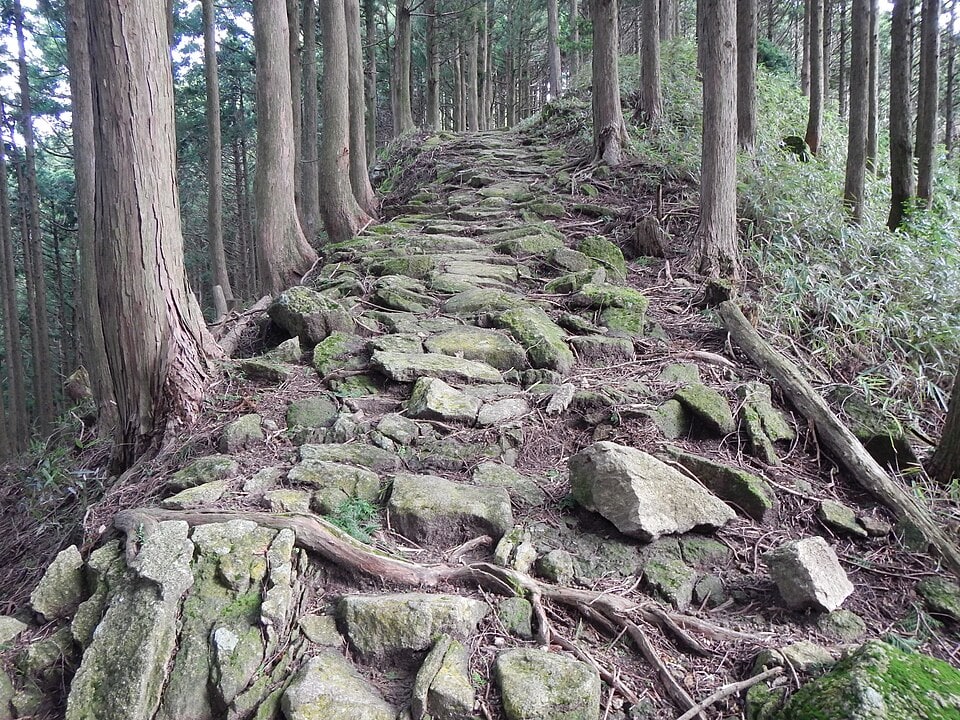 Kumano Kodo World heritage Ohgumotorigoe 熊野古道 大雲取越44.JPG
