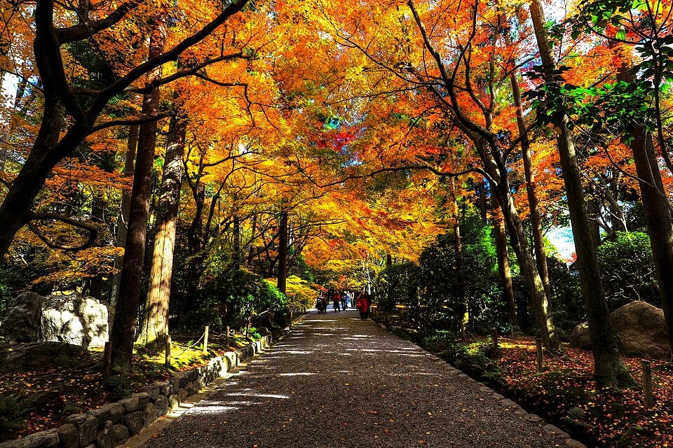 Ryoanji in Kyoto — additional view