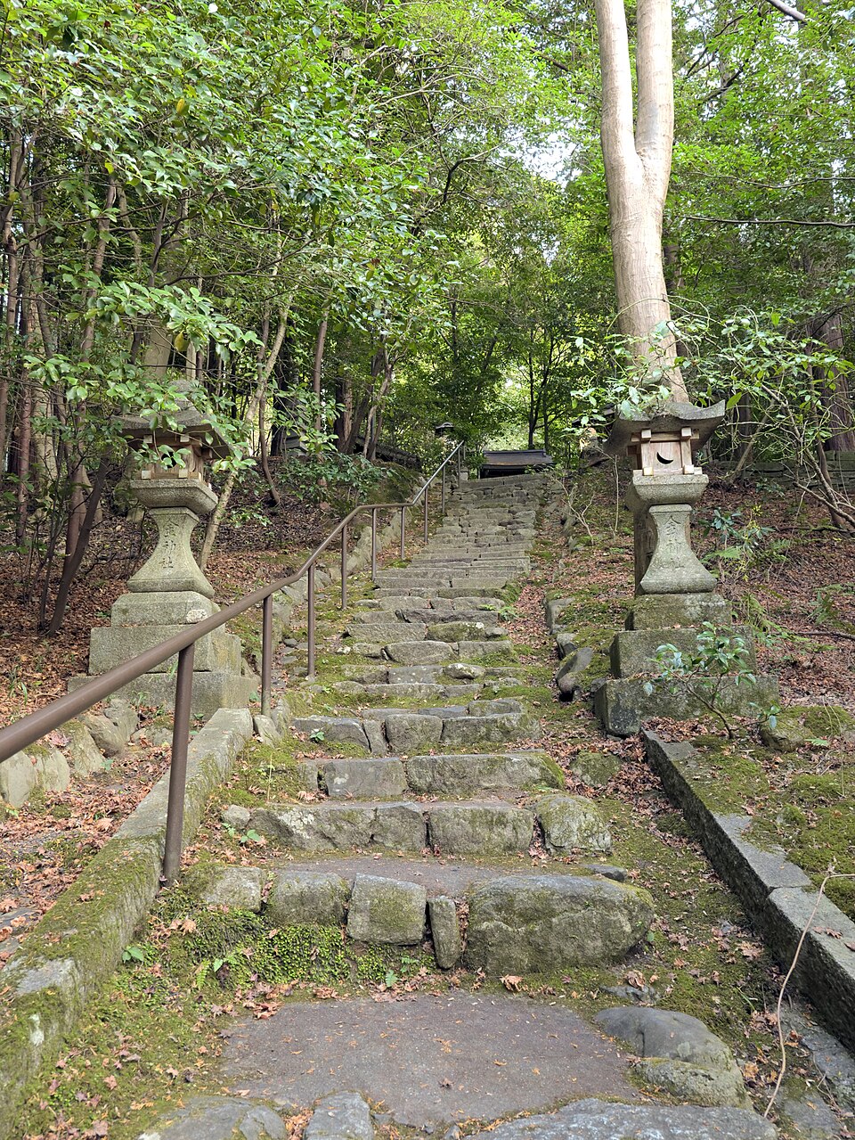 Tangga batu dan hutan di Sekizanzenin, 2023
