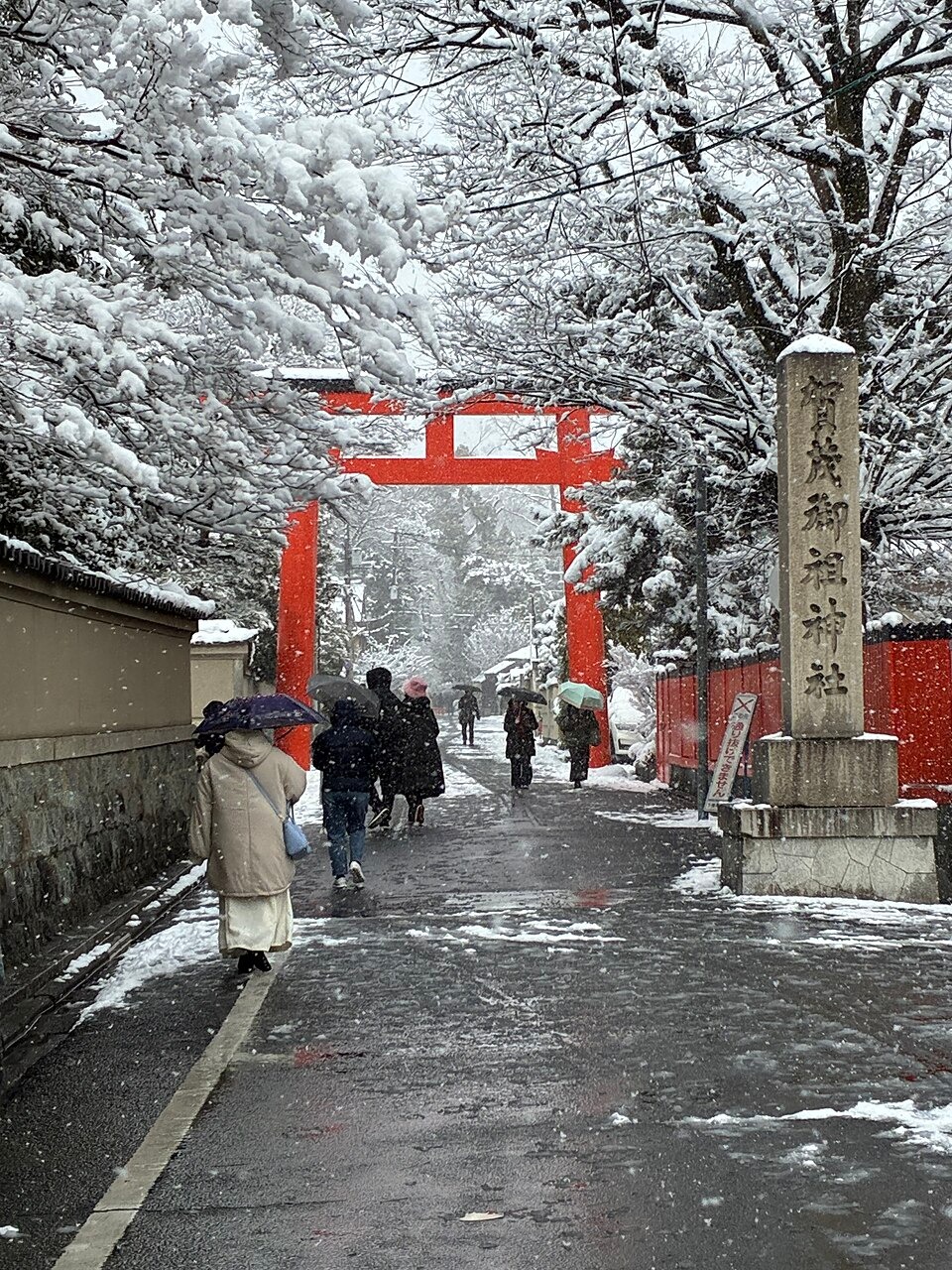 下鴨神社 20260208 2