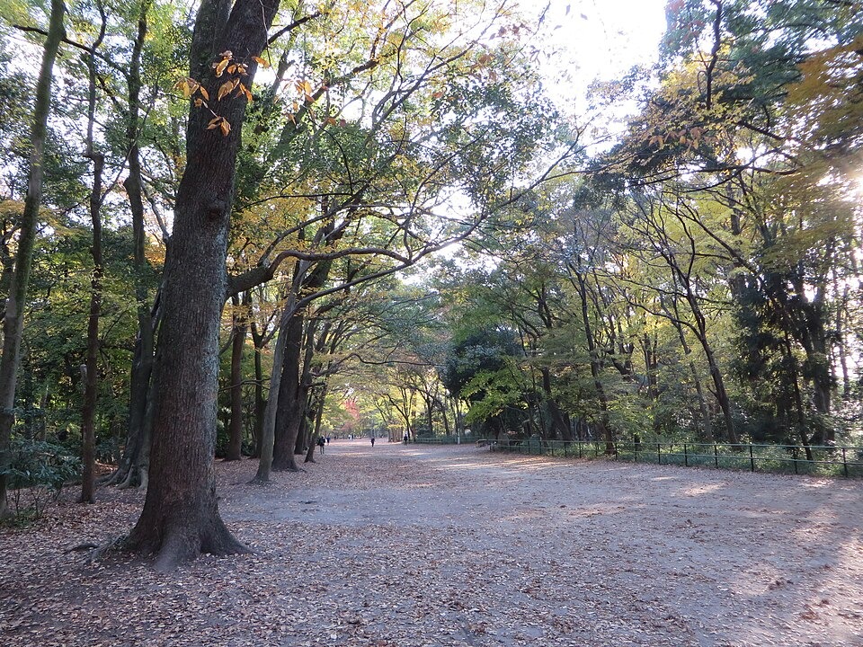 Shimogamo Izumigawacho, Sakyo Ward, Kyoto, Kyoto Prefecture 606-0807, Japan - panoramio (1)