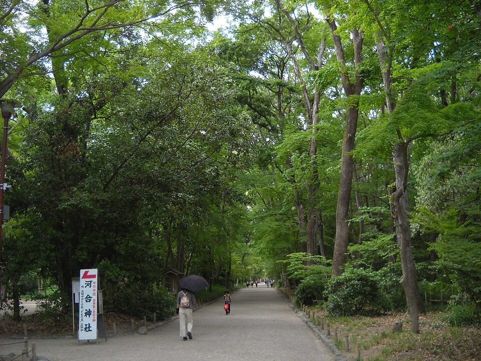 Shimogamo Forest (Tadasu no Mori)