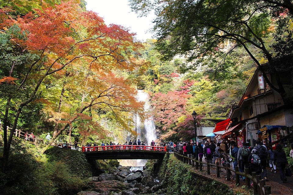 Visitors beside the red bridge and autumn leaves at Minoh Falls