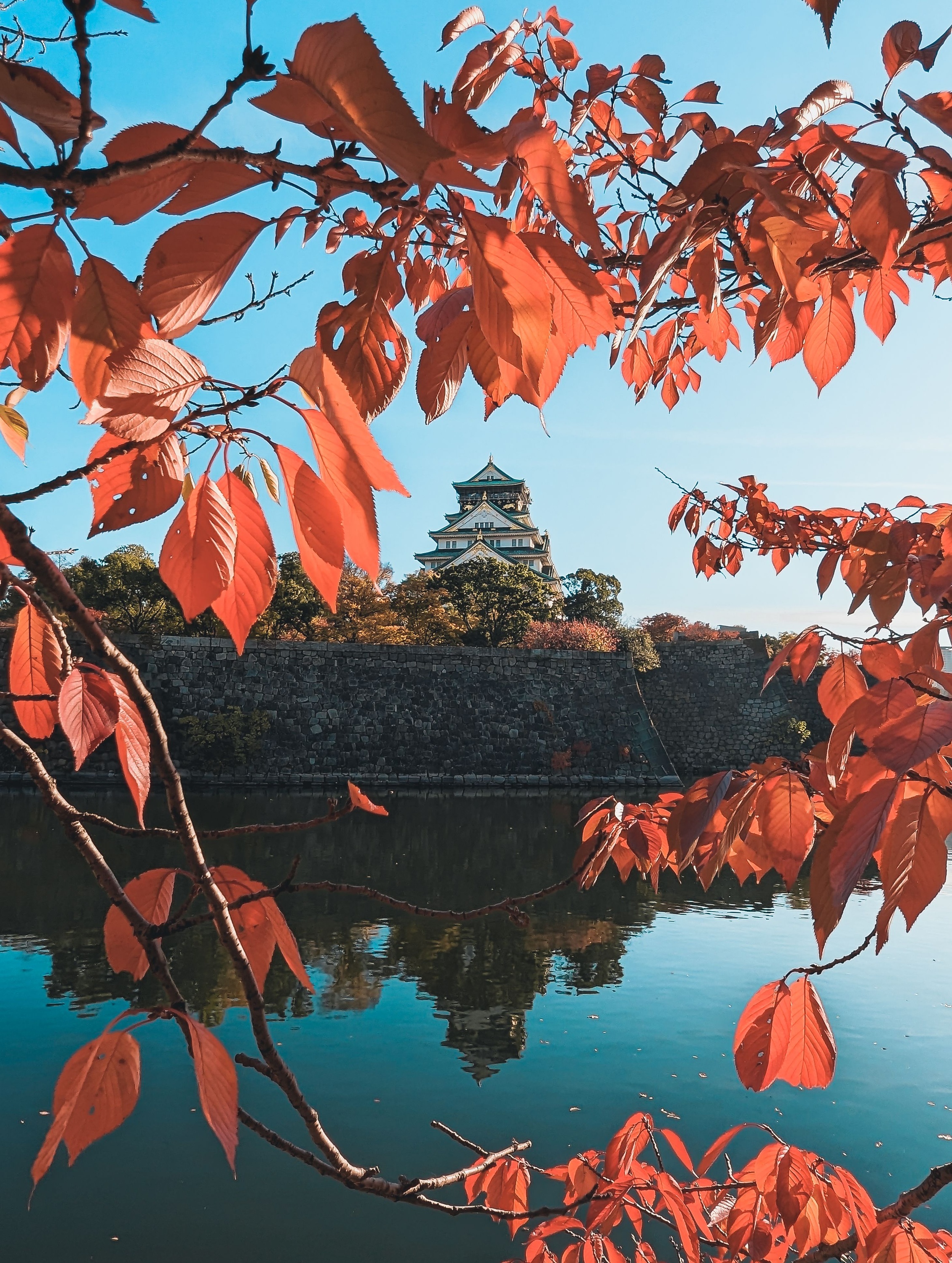 Osaka Castle · autumn