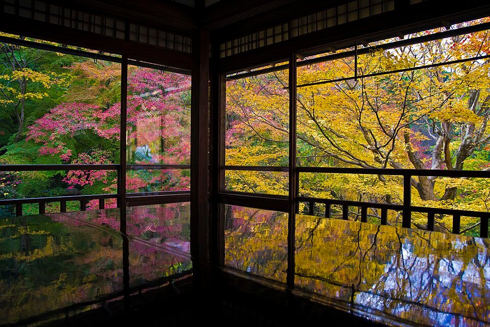 Kyoto · Rurikoin