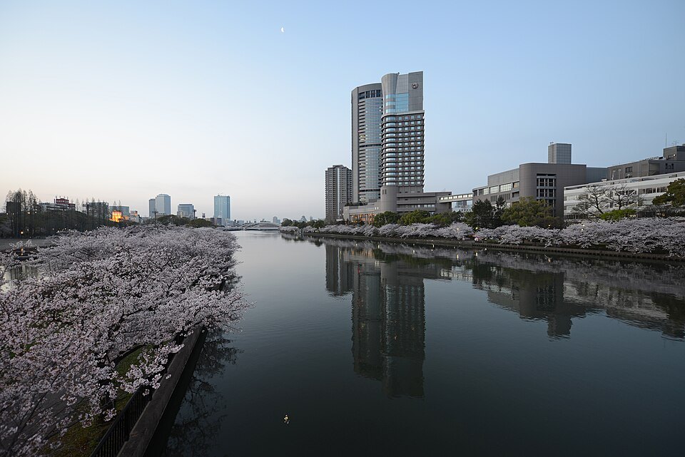 Okawa River cherry blossoms