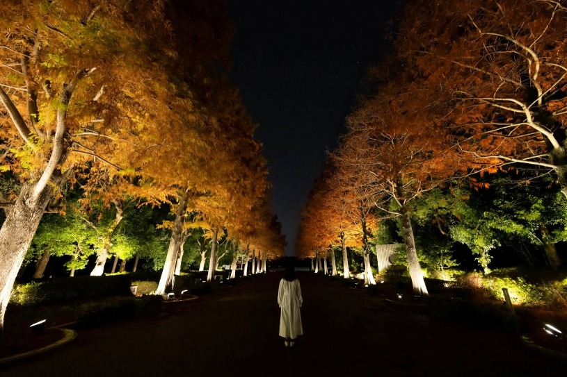 A visitor walking between illuminated trees at teamLab Botanical Garden Osaka